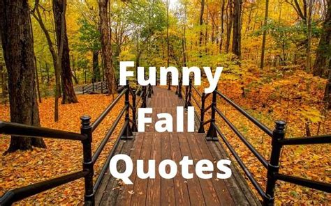 fall sayings signs|funny fall sayings for signs.